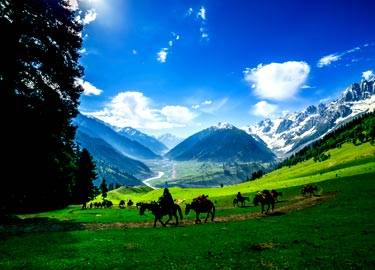 Exotic Kashmir Deluxe Package 5D/4N