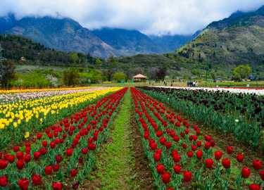 Explore The Kashmir Jewels On 8D/ 7N 