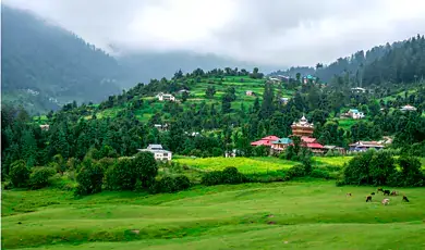 green valley in shimla