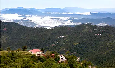 kasauli