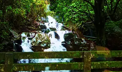 kudremukh national park