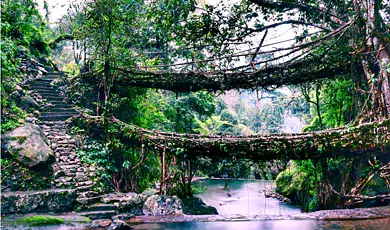 mawlynnong, meghalaya