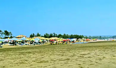 morjim beach goa