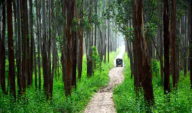 muthanga wildlife sanctuary visit