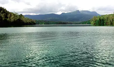 neyyar dam  wildlife sanctuary