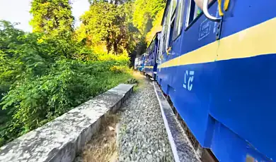 nilgiri mountain railway ooty