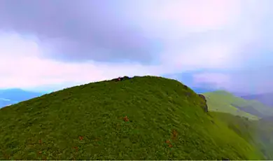 nishani motte