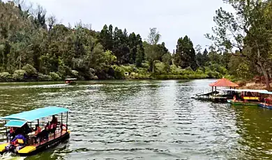 ooty lake ooty