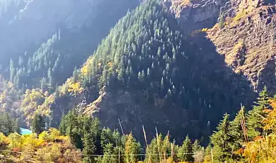 pangi valley himachal pradesh