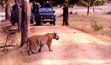 pench national park