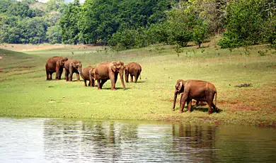 periyar wildlife sanctuary thekkady