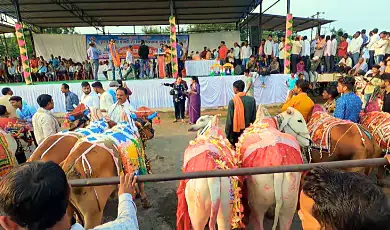 pola festival chhattisgarh