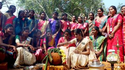 Pongal Festival 2024, Tamil Nadu