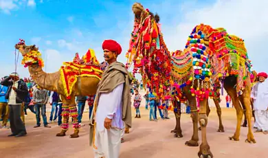 pushkar fair