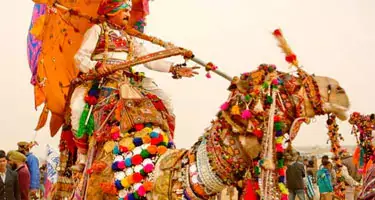 Pushkar Fair Festival 