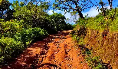 pushpagiri wildlife sanctuary