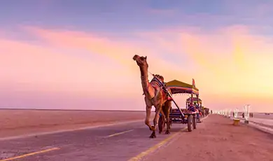 rann of kutch