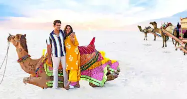 Rann Utsav Festival Gujarat 