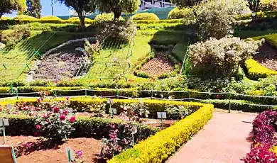 rose garden ooty