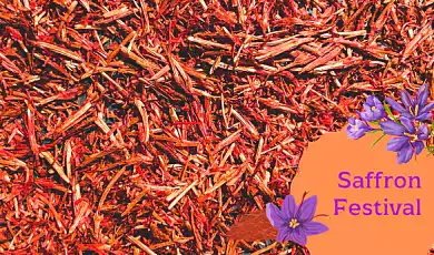 saffron festival jammu