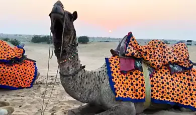 sam sand dunes jaisalmer