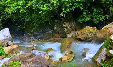 shikhar falls