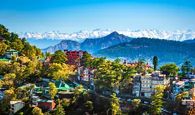 shimla