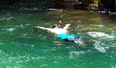 snorkelling