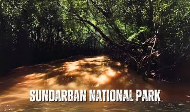 sundarban national park