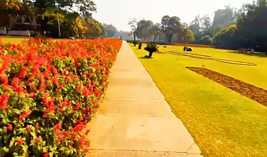 terraced garden chandigarh