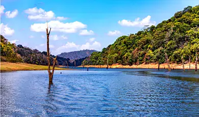 thekkady lake