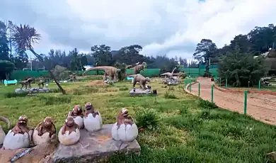 thunder world ooty