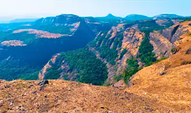 tigers leap lonavala