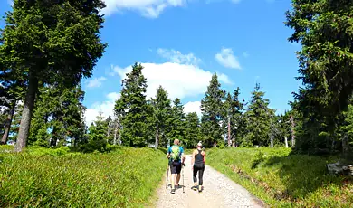 treking in sahibkkunnu wayanad