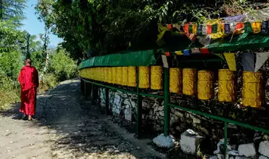 Tsuglagkhang Complex in Dharamshala