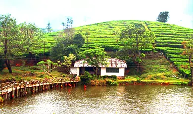 vagamon