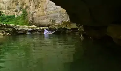 valmiki national park, west champaran