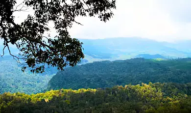 valparai tamil nadu