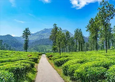 wayanad