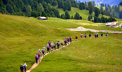 trekking in vegamon