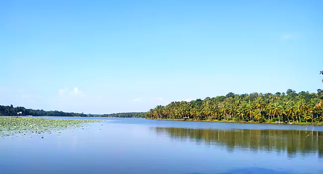 vellayani lake