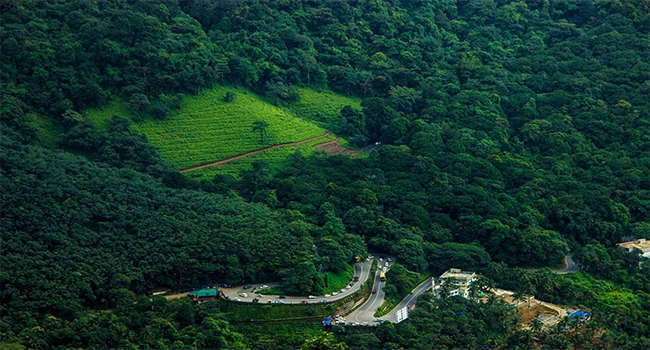 wayanad