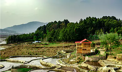 ziro winter