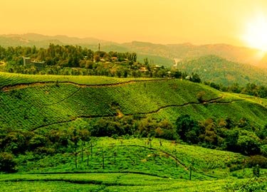 Munnar