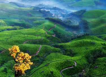 Munnar